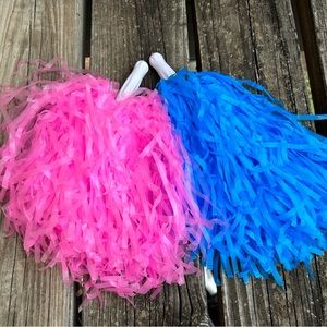 12-pack Plastic Pom Poms